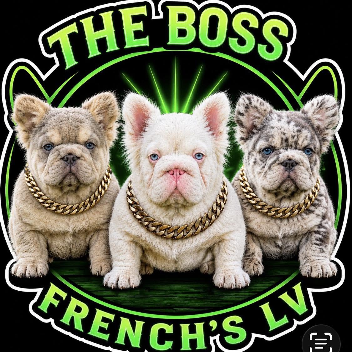 The Boss Frenchies LV — logo